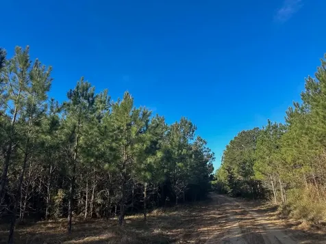 03 Highway 146 Livingston TX 77351