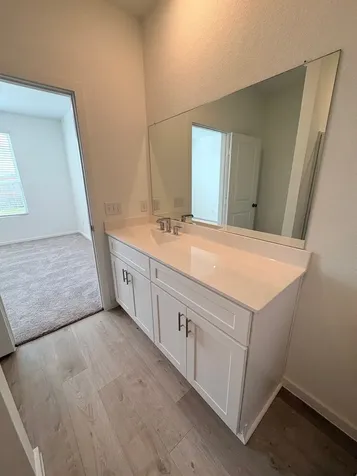 30519 Longmorn Glass Lane Waller TX 77484