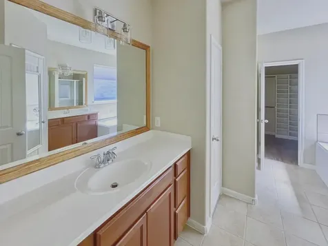 170 Black Swan Place Magnolia TX 77354