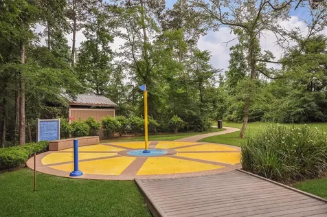 170 Black Swan Place Magnolia TX 77354