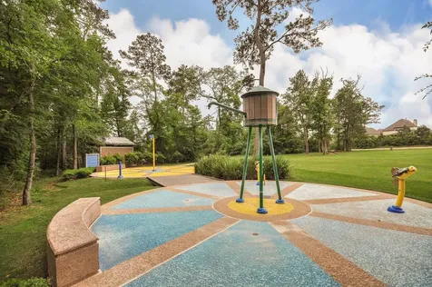 170 Black Swan Place Magnolia TX 77354