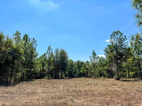1 Murray Lane Huntsville TX 77320