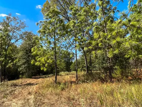 1 Murray Lane Huntsville TX 77320