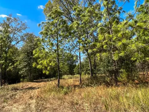 1 Murray Lane Huntsville TX 77320