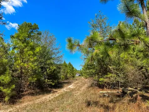 1 Murray Lane Huntsville TX 77320