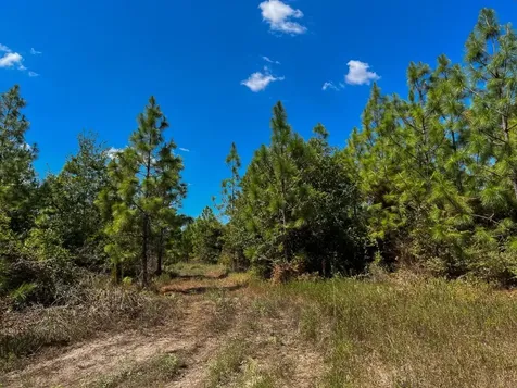 1 Murray Lane Huntsville TX 77320