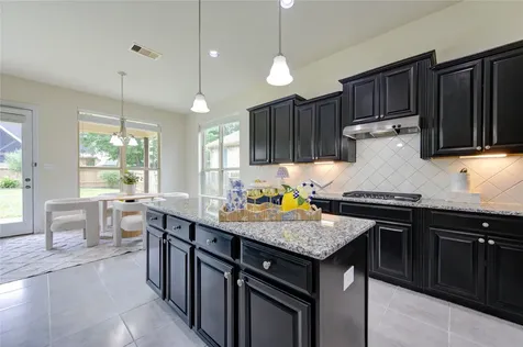 9926 Common Hawker Court Conroe TX 77385