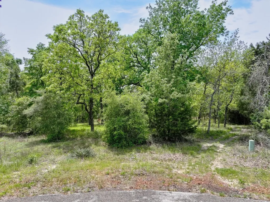 8950 Timber Ridge Lane Larue TX 75770