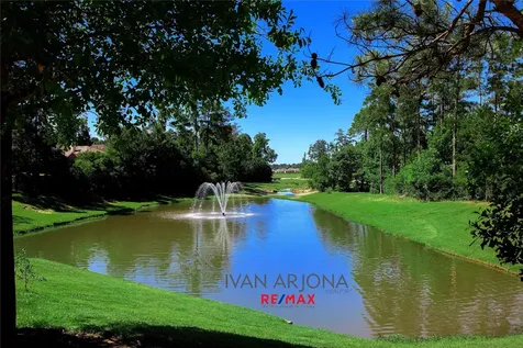 102 Blue Creek The Woodlands TX 77382