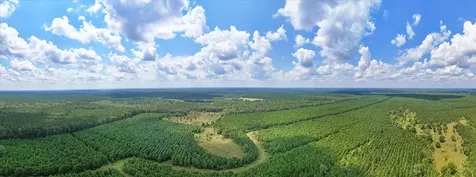 20563 Ghost Road Kountze TX 77585