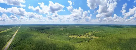 20563 Ghost Road Kountze TX 77585