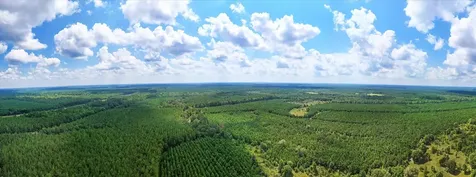 20563 Ghost Road Kountze TX 77585
