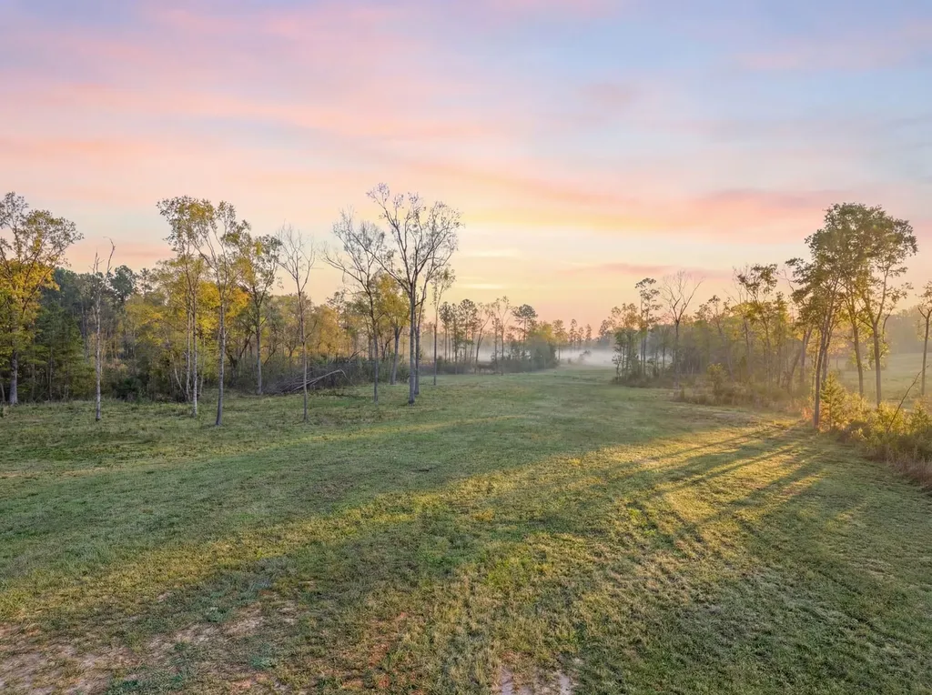 Lot 13 Fm 350 N Livingston TX 77351