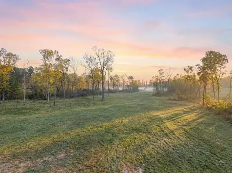 Lot 13 Fm 350 N Livingston TX 77351