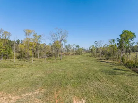Lot 13 Fm 350 N Livingston TX 77351