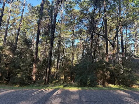 54 Green Tree Drive Coldspring TX 77331