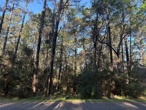 54 Green Tree Drive Coldspring TX 77331