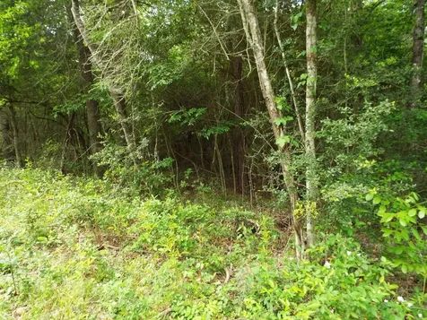 Lot 34 Dogwood Road Huntsville TX 77320