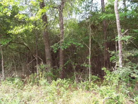 Lot 34 Dogwood Road Huntsville TX 77320