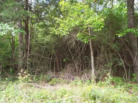 Lot 34 Dogwood Road Huntsville TX 77320