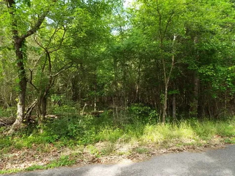 Lot 34 Dogwood Road Huntsville TX 77320