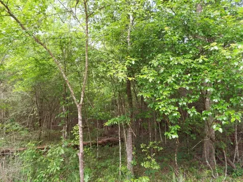 Lot 34 Dogwood Road Huntsville TX 77320