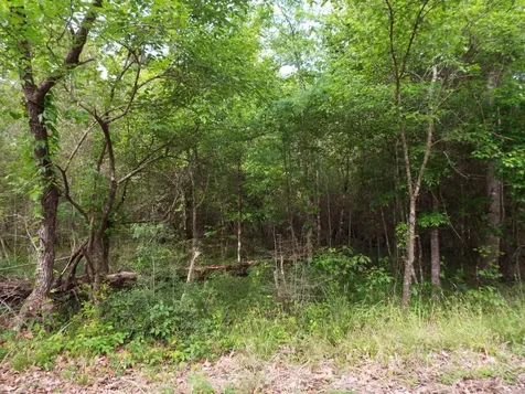 Lot 34 Dogwood Road Huntsville TX 77320