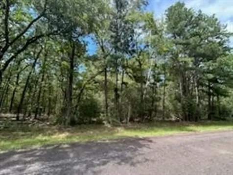 0 Hackberry Court Huntsville TX 77320