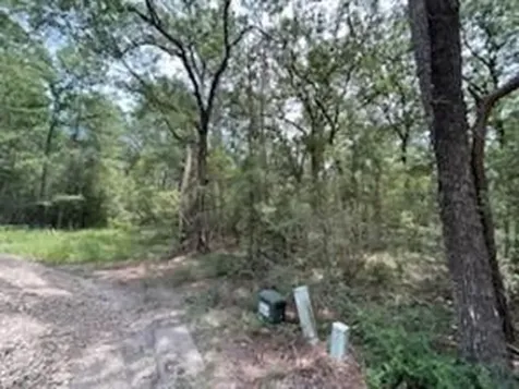 0 Hackberry Court Huntsville TX 77320
