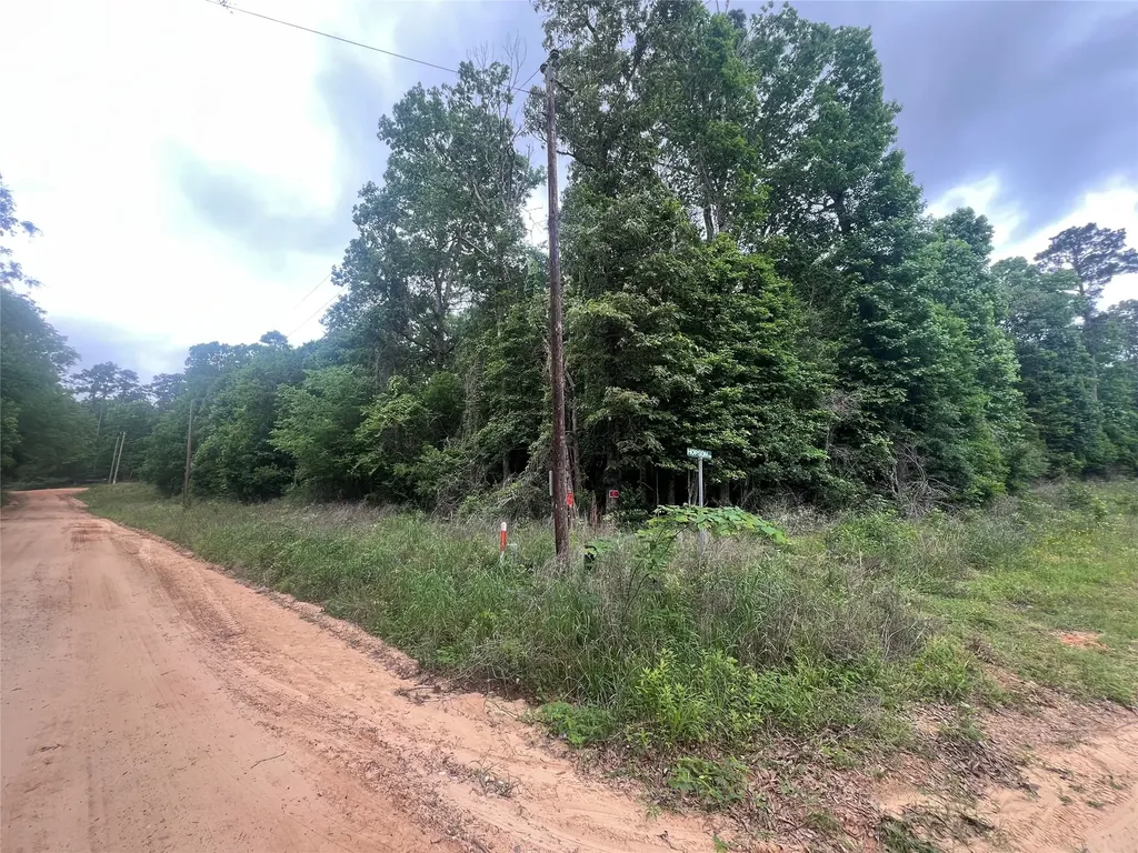 0 Patricia Drive Livingston TX 77351