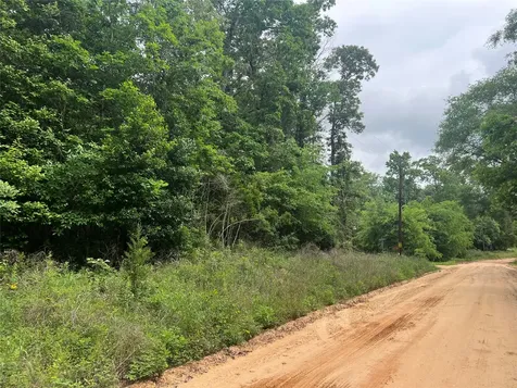 0 Patricia Drive Livingston TX 77351