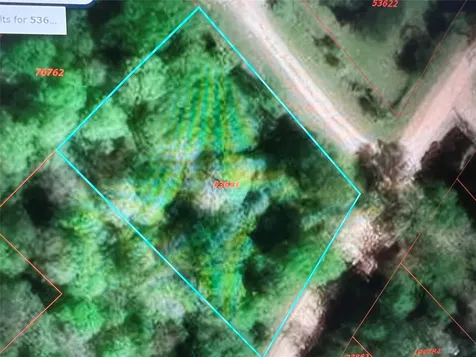 0 Patricia Drive Livingston TX 77351