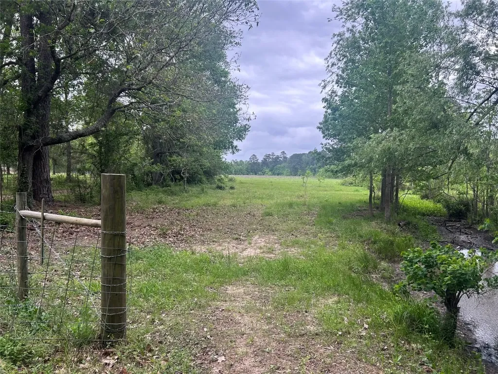 Lot 2 Minnie West Road Hull TX 77564