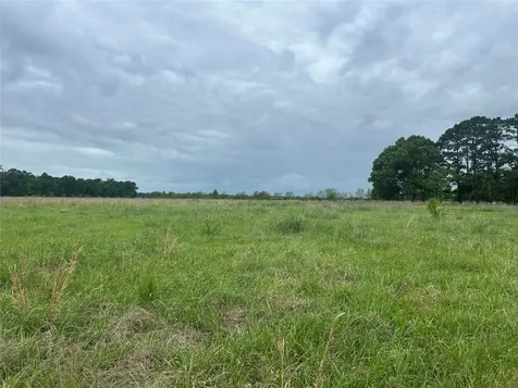 Lot 2 Minnie West Road Hull TX 77564