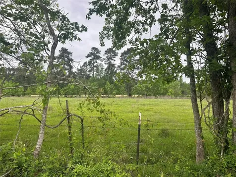 Lot 2 Minnie West Road Hull TX 77564