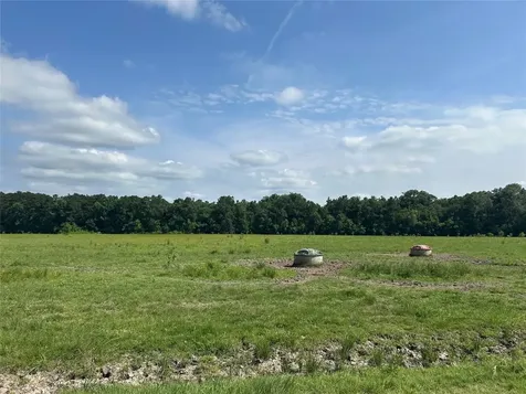 Lot 2 Minnie West Road Hull TX 77564