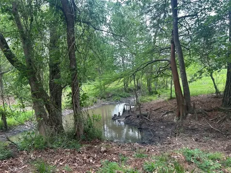 Lot 2 Minnie West Road Hull TX 77564
