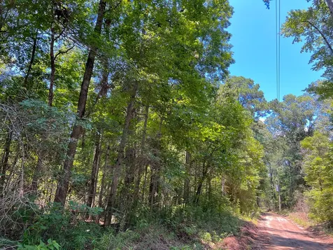 4 New Haven Road Milam TX 75948
