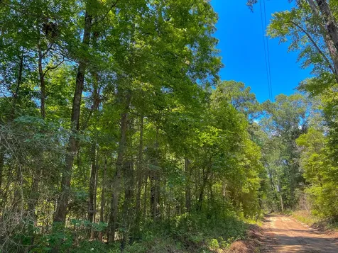 4 New Haven Road Milam TX 75948