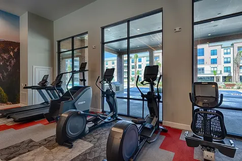 15915 Kingfield Drive 1124 Houston TX 77084