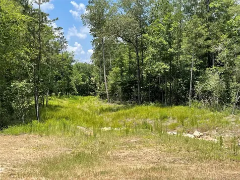 15529 Republic Park Trail Willis TX 77378