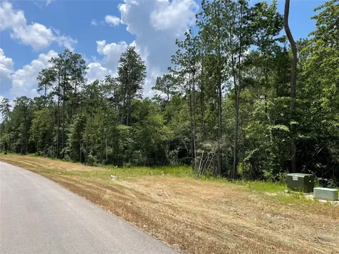15529 Republic Park Trail Willis TX 77378