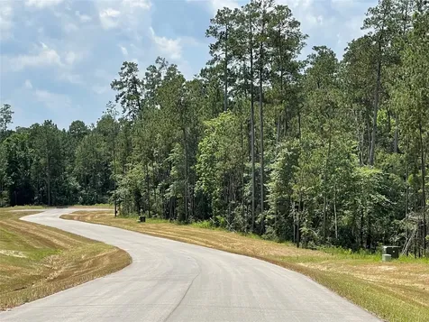 15529 Republic Park Trail Willis TX 77378