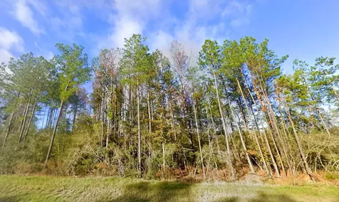 15529 Republic Park Trail Willis TX 77378