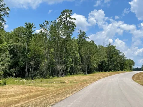 15529 Republic Park Trail Willis TX 77378