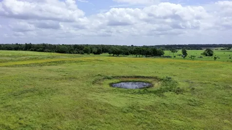 Tbd Cr 328, Tract 2, 10 Acres Caldwell TX 77836