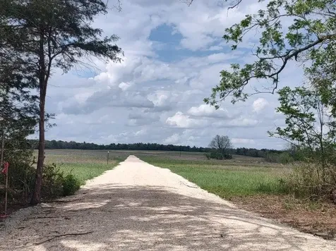 Tbd Cr 328, Tract 2, 10 Acres Caldwell TX 77836
