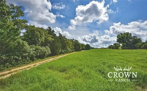 Tbd Fm 908 - 1057 Acres Caldwell TX 77836