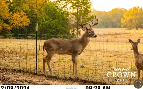 Tbd Fm 908 - 1057 Acres Caldwell TX 77836