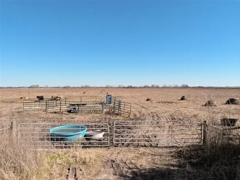 0 County Road 167 Alvin TX 77511